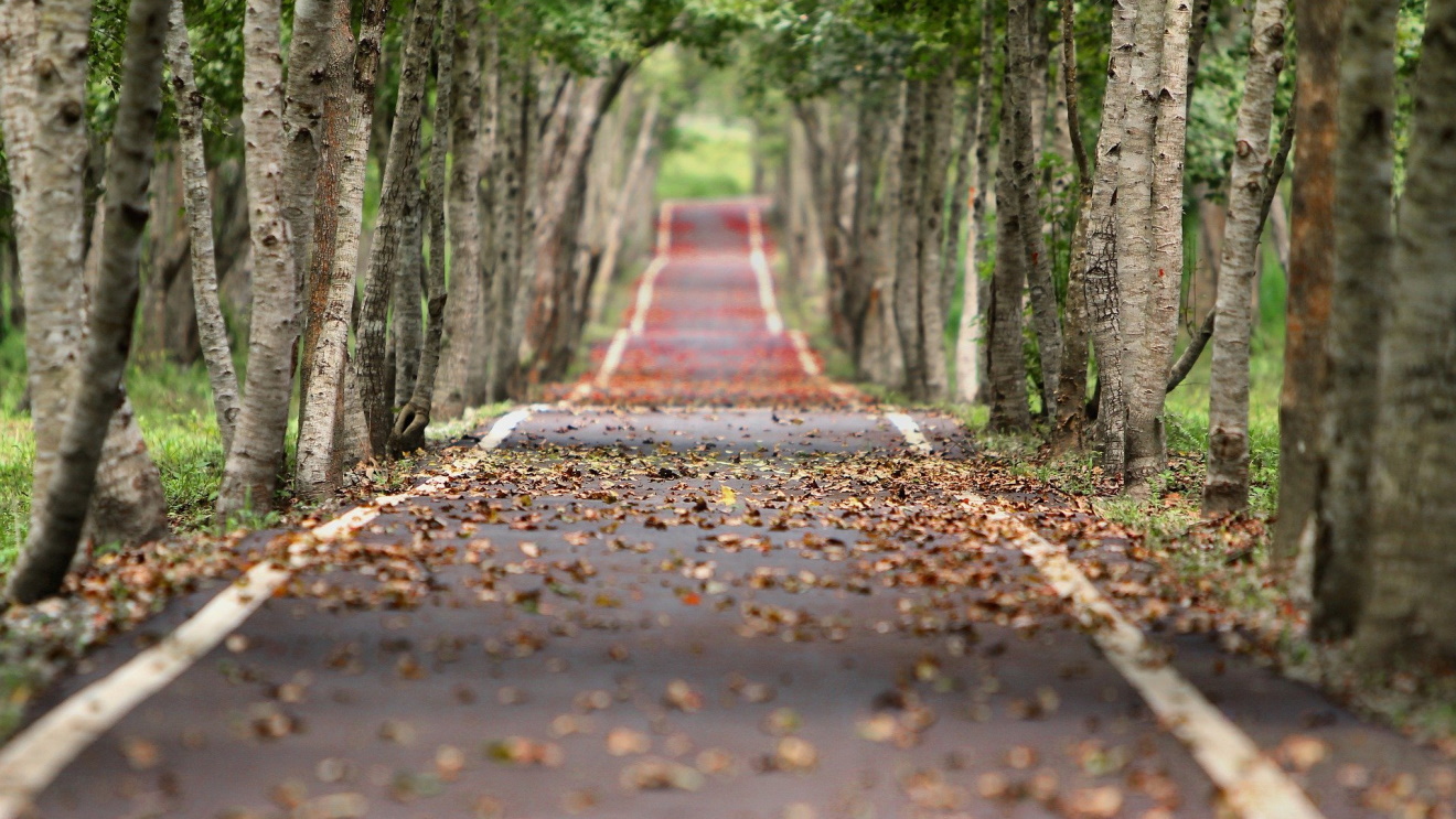 Herbstliche Straße